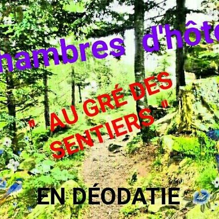 Bed and Breakfast Au Gre Des Sentiers Chez Marie Et Pierre Saint-Die-des-Vosges Esterno foto