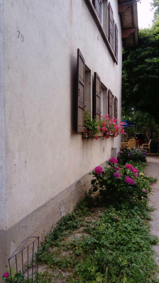 Bed and Breakfast Au Gre Des Sentiers Chez Marie Et Pierre Saint-Die-des-Vosges Esterno foto