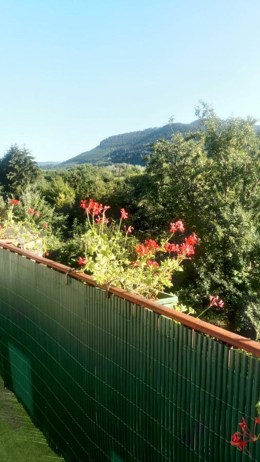 Bed and Breakfast Au Gre Des Sentiers Chez Marie Et Pierre Saint-Die-des-Vosges Esterno foto