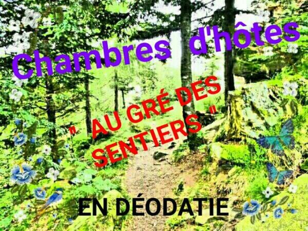 Bed and Breakfast Au Gre Des Sentiers Chez Marie Et Pierre Saint-Die-des-Vosges Esterno foto